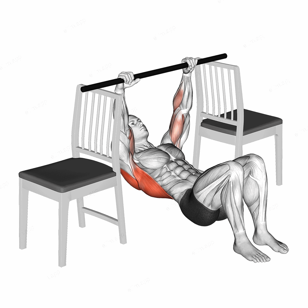 Inverted Row with Bent Knee between Chairs exercise targeting Back and Infraspinatus