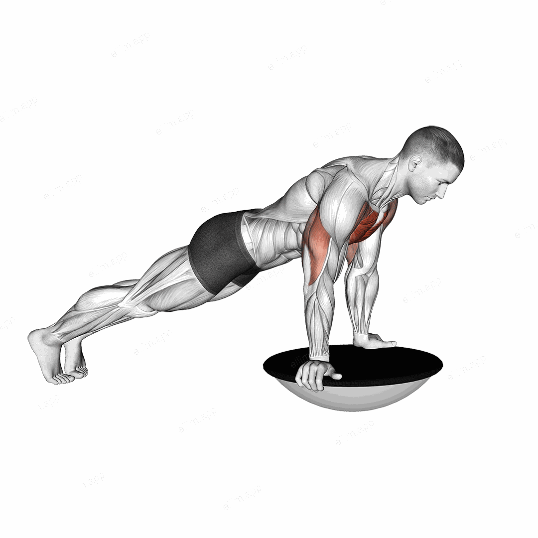 Push up (bosu ball) exercise targeting Chest