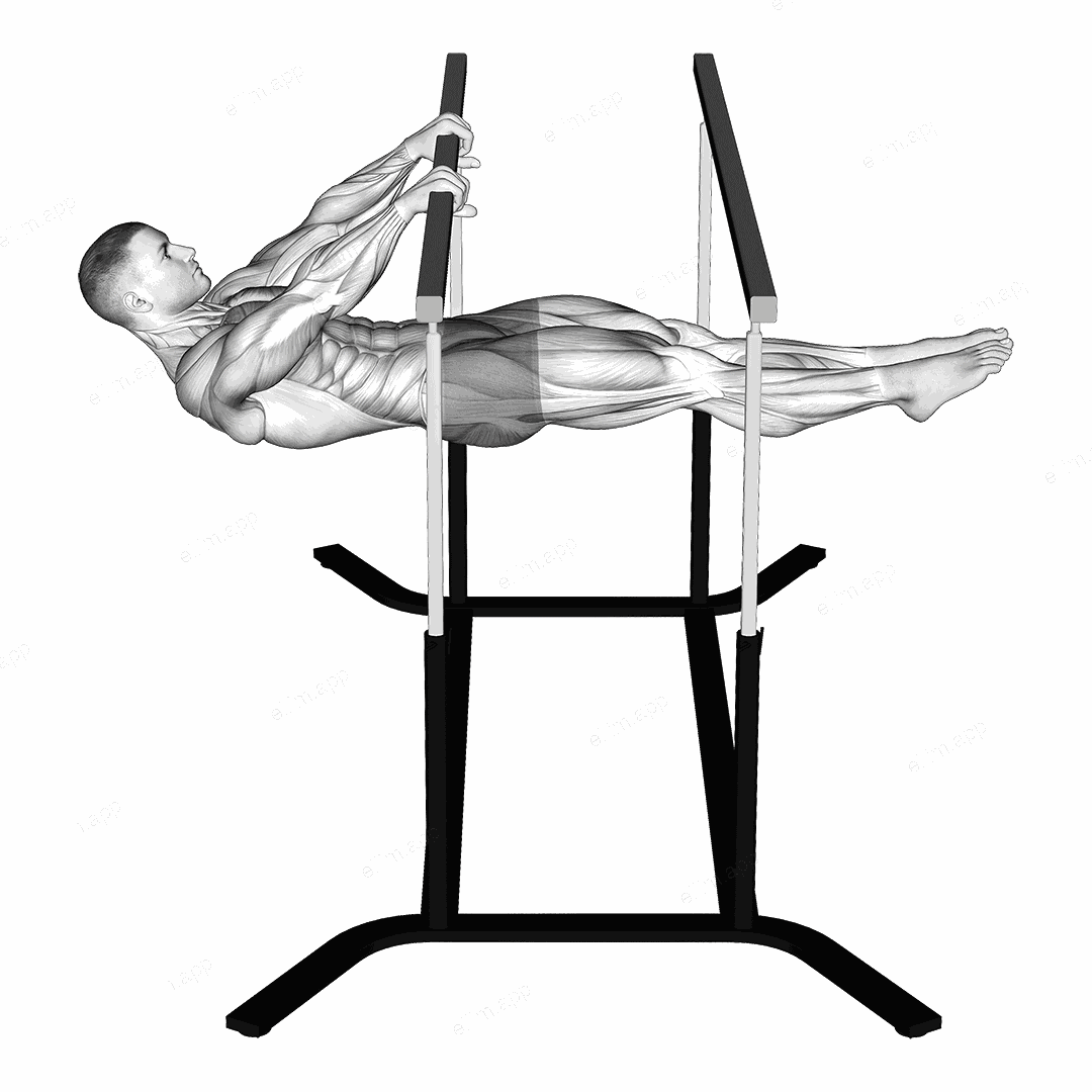 Front Lever exercise targeting Waist and Rectus Abdominis