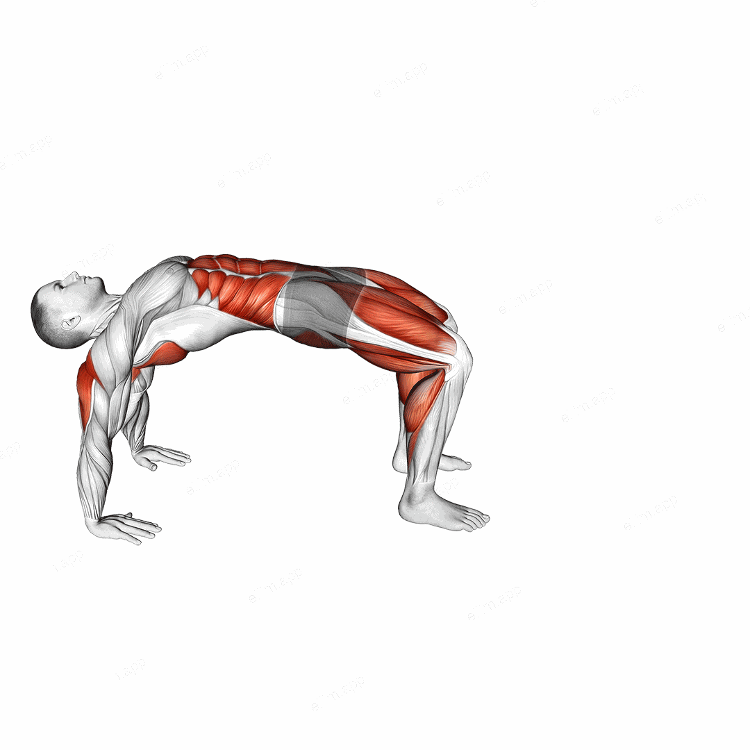 Crab Walk exercise targeting Plyometrics