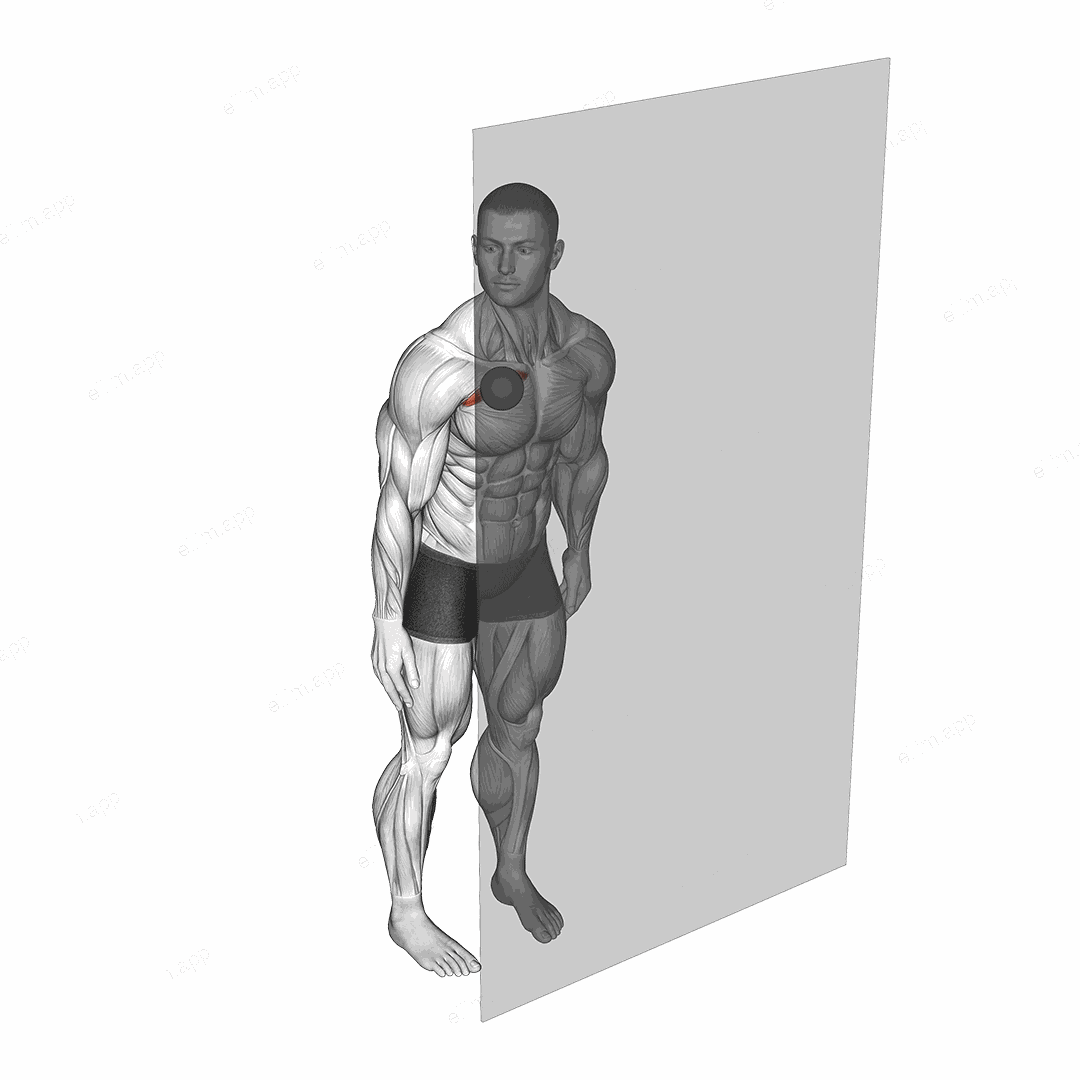 Roll Ball Pectoralis Major - Clavicular exercise targeting Chest