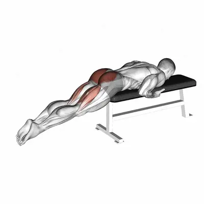 Reverse Hyper on Flat Bench exercise targeting Hips and Gluteus Maximus