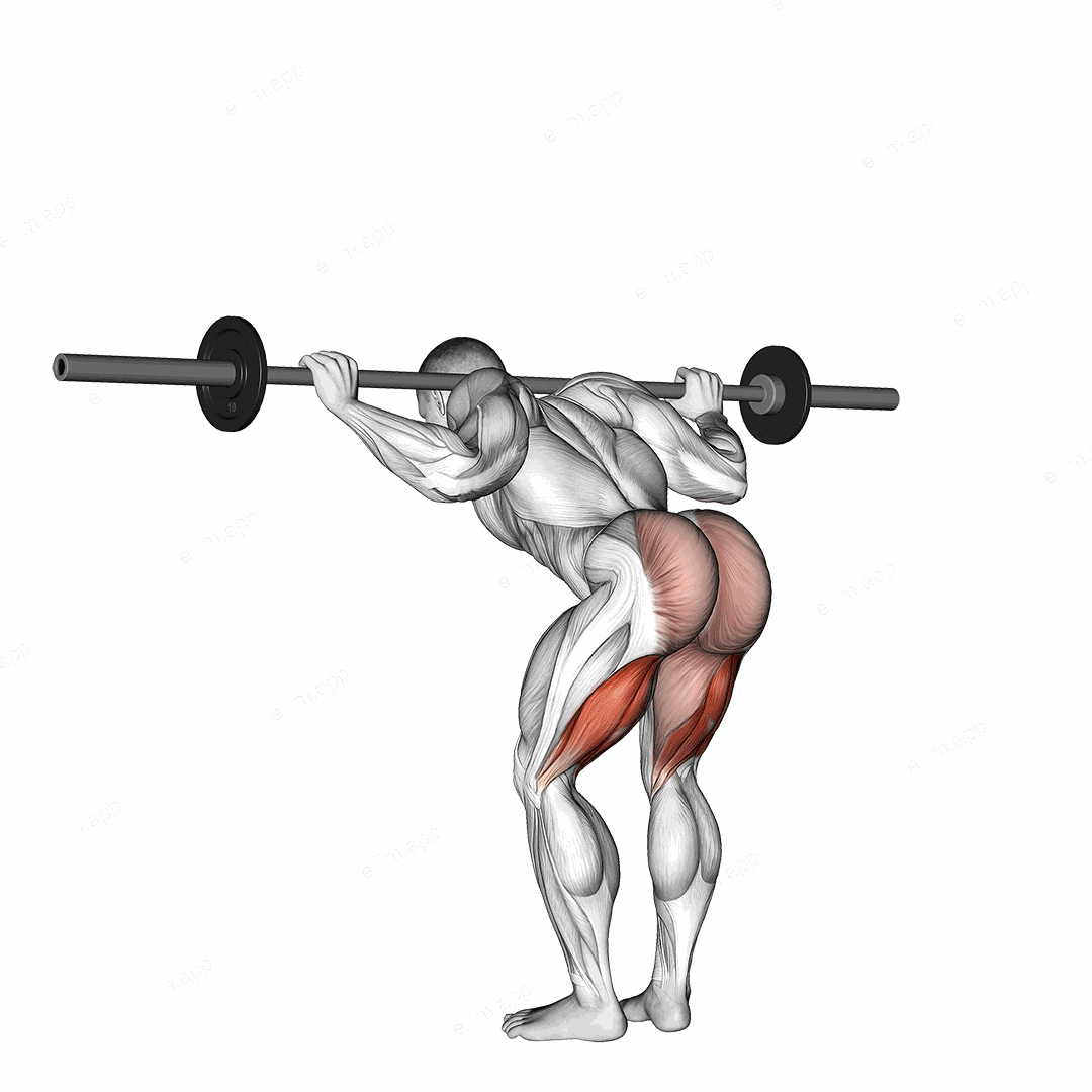 Barbell Good Morning exercise targeting Thighs and Hamstrings