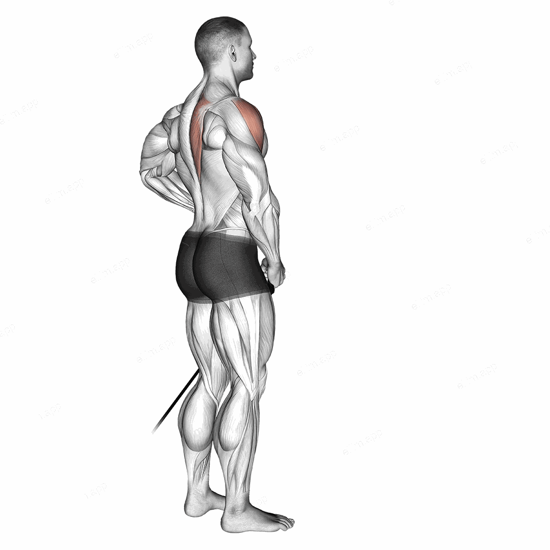 Band front lateral raise exercise targeting Shoulders and Deltoid Anterior