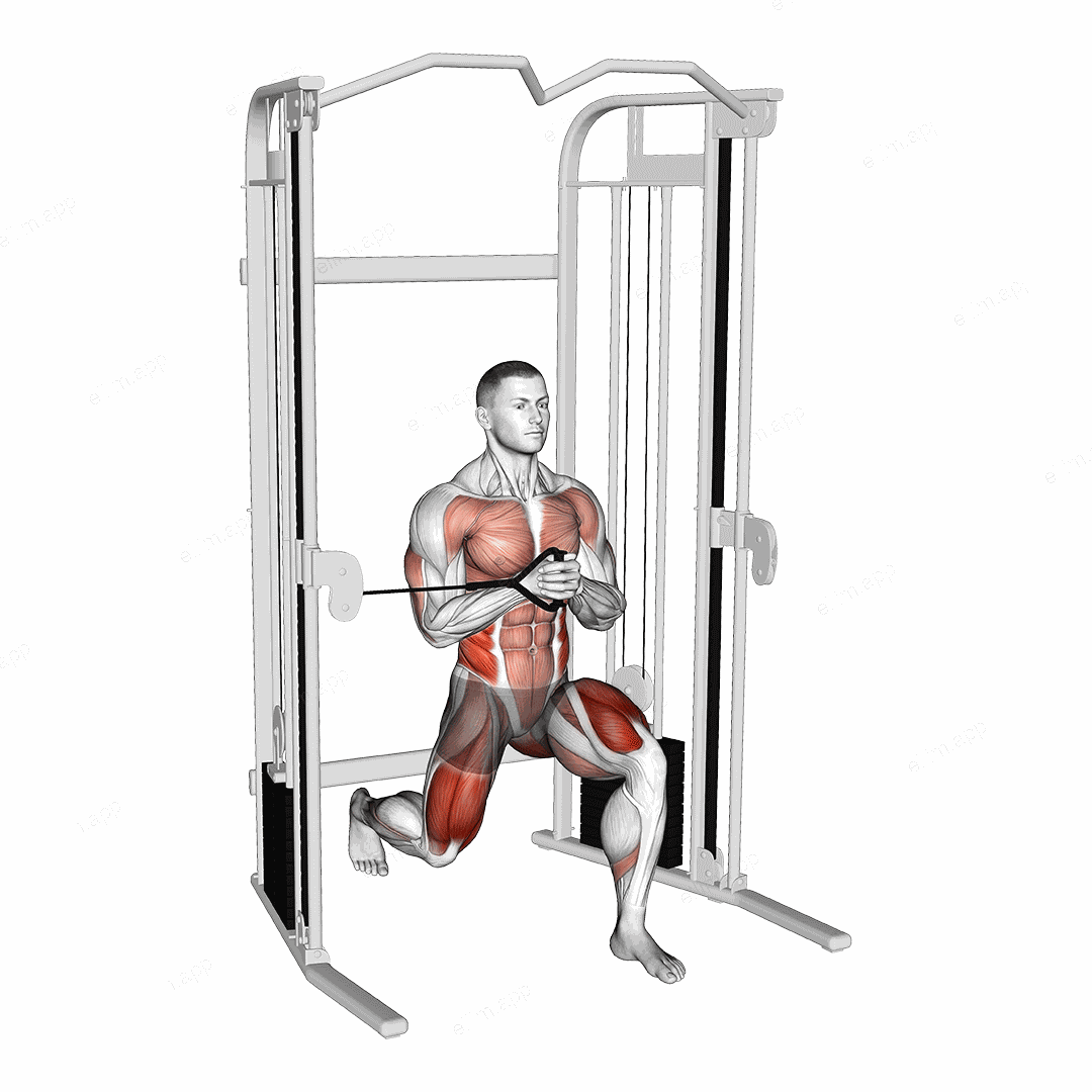 Cable Split Stance Horizontal Pallof Press exercise targeting Waist