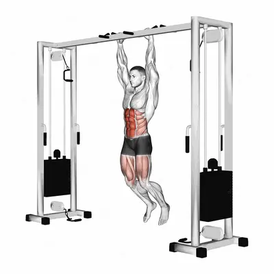 Hanging Straight Leg Hip Raise exercise targeting Waist and Rectus Abdominis