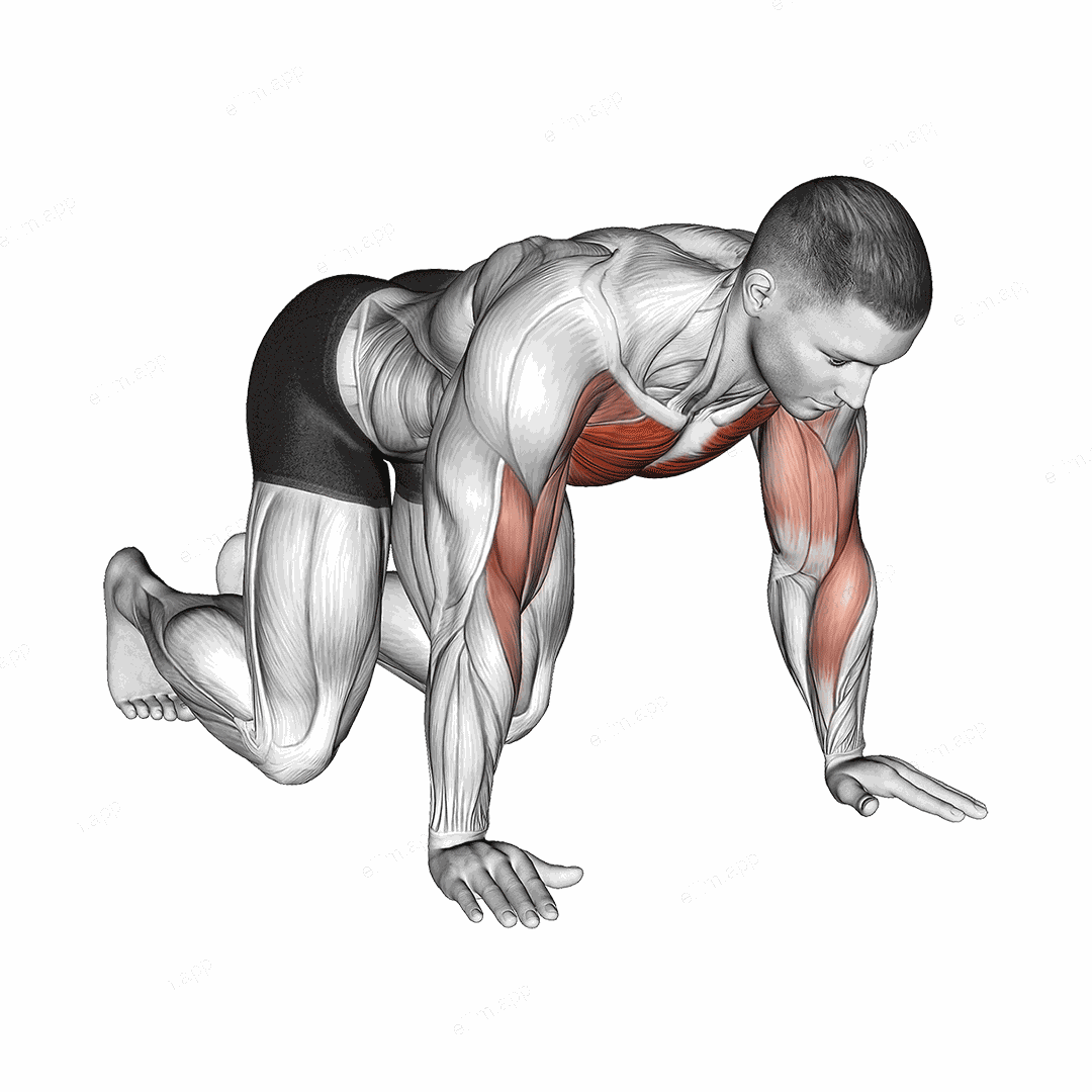 Kneeling Shoulder Tap exercise targeting Chest and Pectoralis Major Clavicular Head