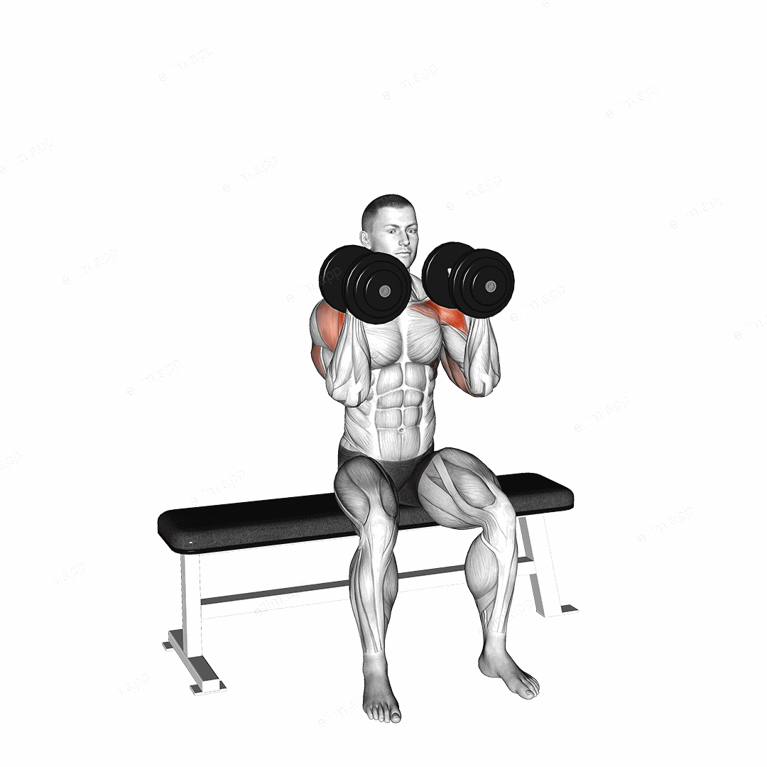 Dumbbell Seated Reverse Arnold Press exercise targeting Shoulders