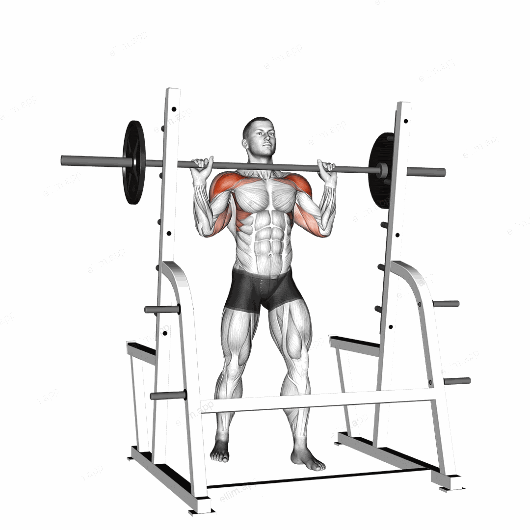 Barbell Standing Military Press exercise targeting Shoulders and Deltoid Anterior
