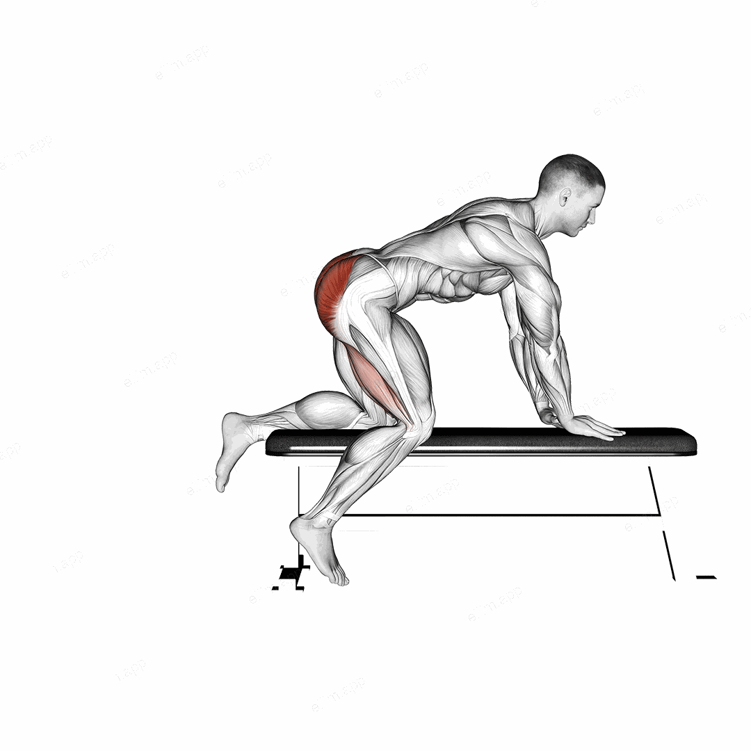 Bench Hip Extension exercise targeting Hips and Gluteus Maximus