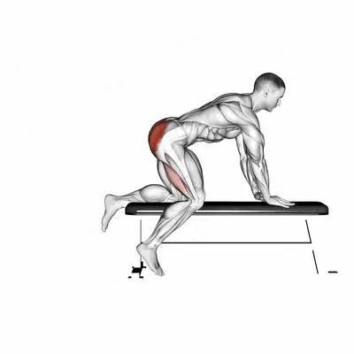 Bench Hip Extension exercise targeting Hips and Gluteus Maximus