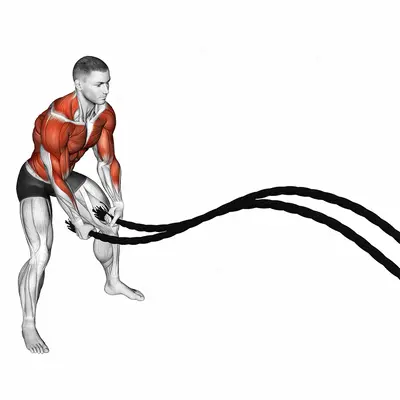 Battling Ropes Power Slam exercise targeting Back and Chest