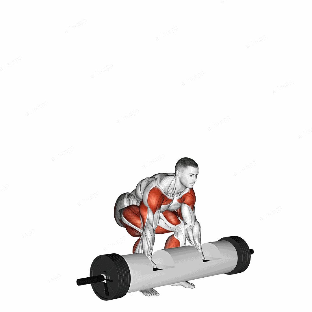 StrongMan Log Lift exercise targeting Weightlifting