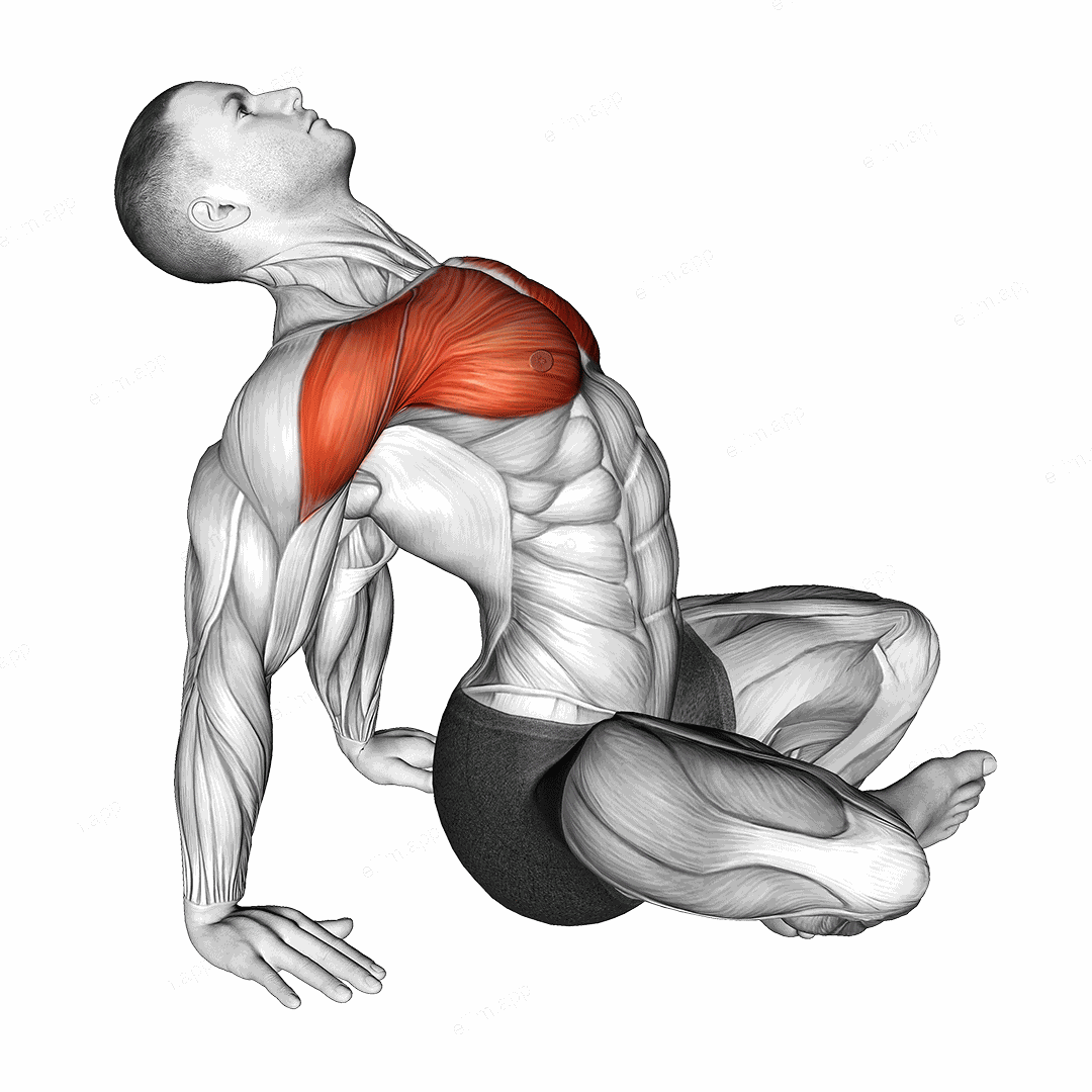 Seated Sky Look exercise targeting Chest and Deltoid Anterior