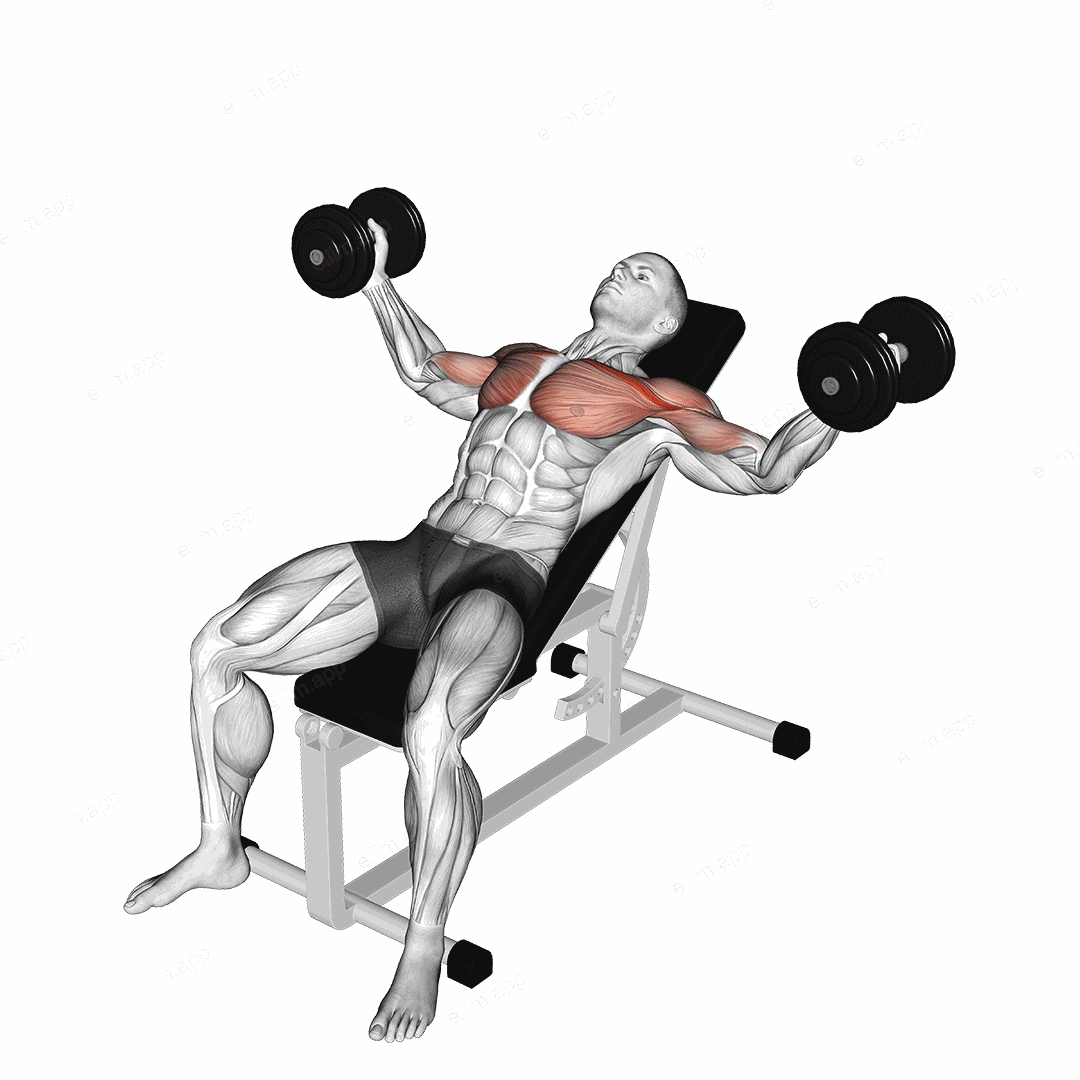Dumbbell Incline Fly exercise targeting Chest and Pectoralis Major Clavicular Head
