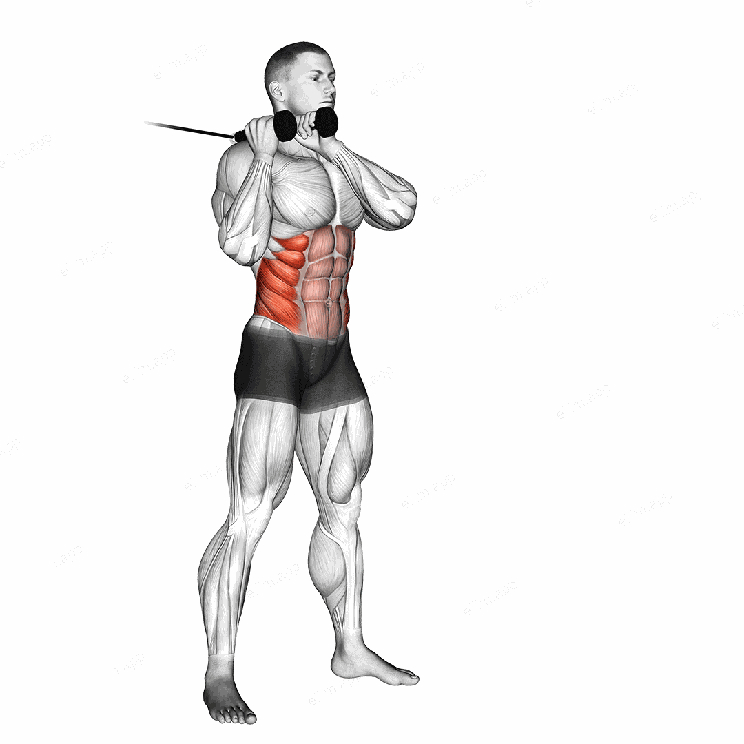 Cable Judo Flip exercise targeting Waist and Obliques