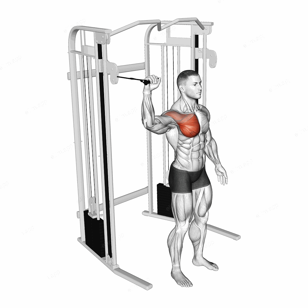 Cable Shoulder 90 degrees Internal Rotation exercise targeting Back and Pectoralis Major Sternal Head