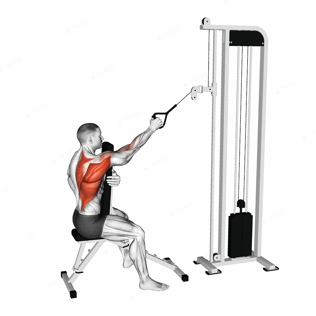 Cable Single Arm High Row with Chest Support exercise targeting Back