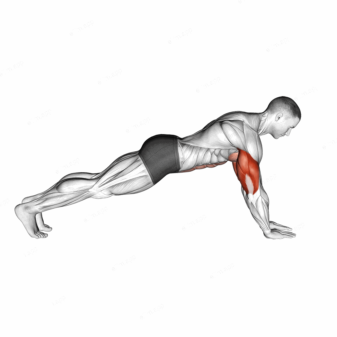 Push up on Forearms exercise targeting Upper Arms