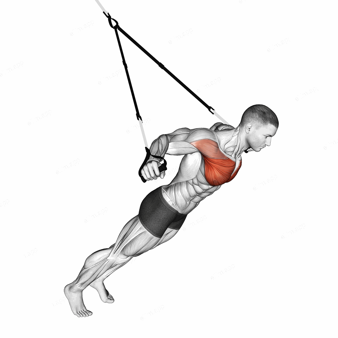 Suspension Fly exercise targeting Chest and Pectoralis Major Clavicular Head