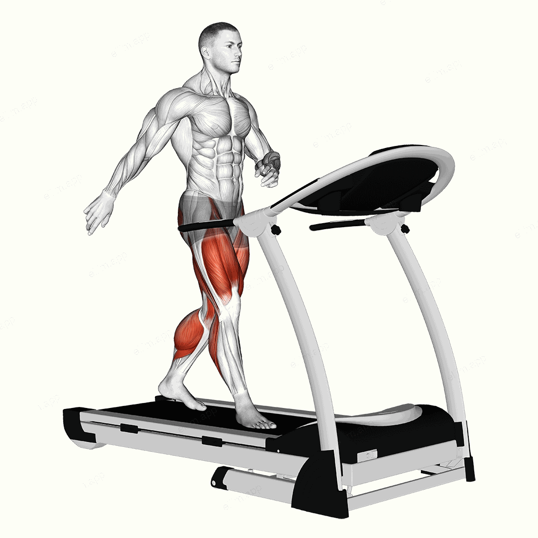Walking on Treadmill exercise targeting Cardio and Adductor Magnus