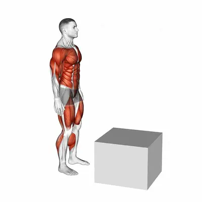 Jump on Fit Box exercise targeting Plyometrics