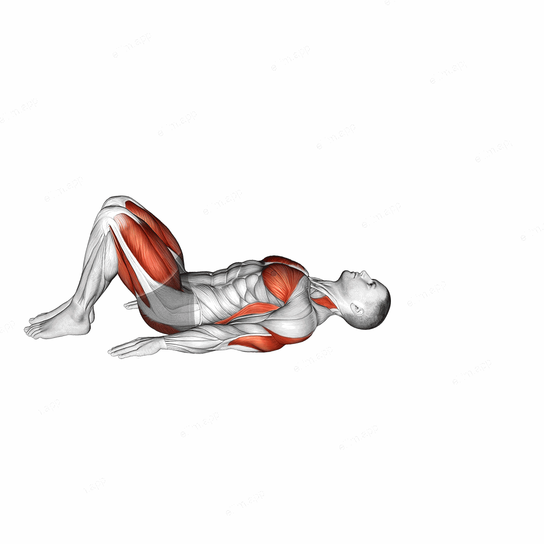 Bridge Pose Setu Bandhasana exercise targeting Yoga and Adductor Magnus