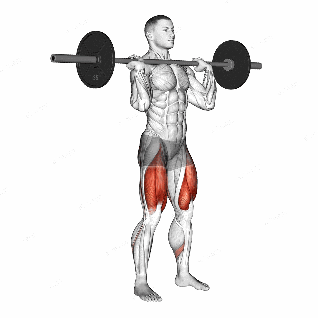 Barbell Jerk Dip Squat exercise targeting Thighs
