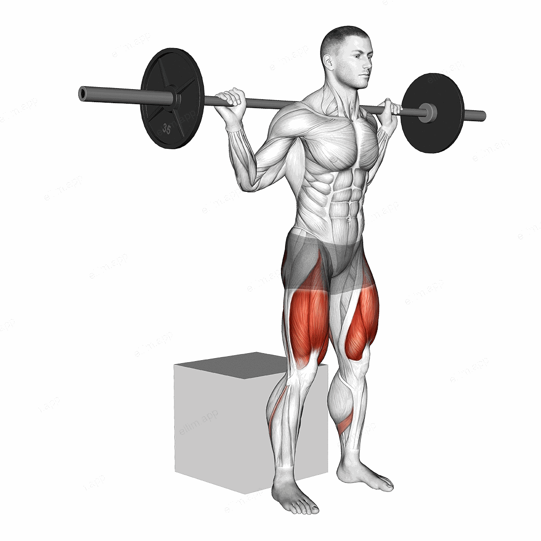 Barbell Box Squat exercise targeting Hips and Gluteus Maximus