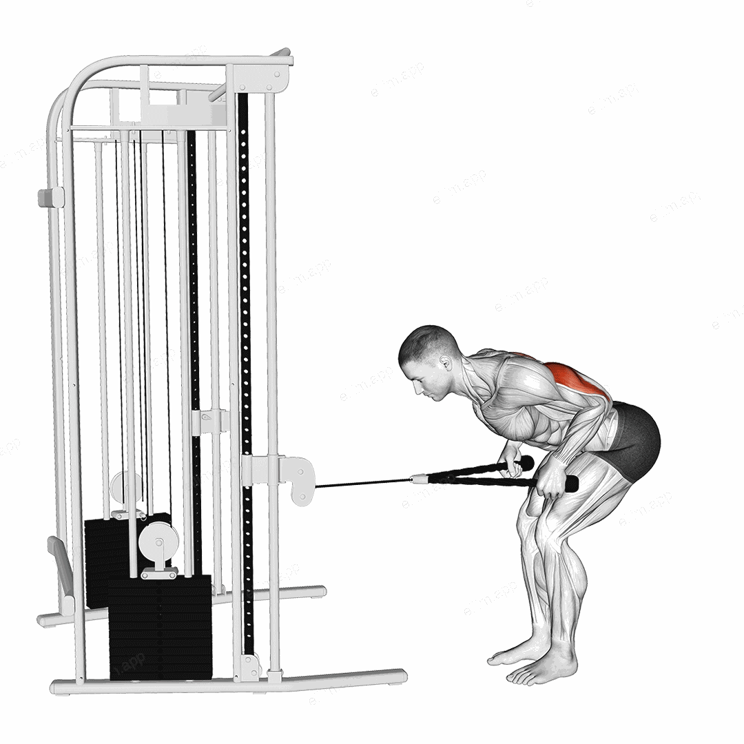 Cable Bent Over Neutral Grip Kickback with Rope Attachment exercise targeting Upper Arms