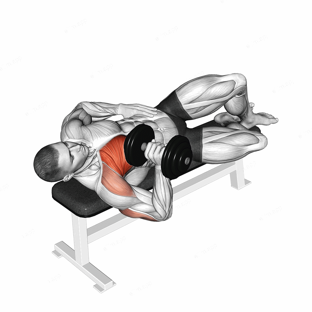 Dumbbell One Arm Side Lying Bench Press exercise targeting Chest