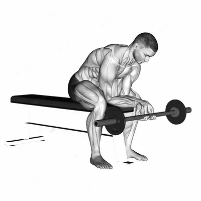 Finger Curls exercise targeting Forearms