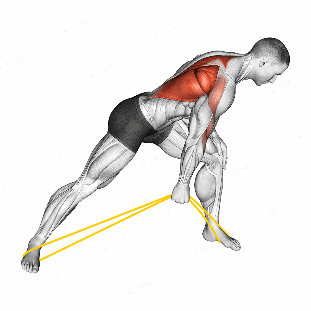 Resistance Band One Arm Bent Over Row exercise targeting Back and Infraspinatus