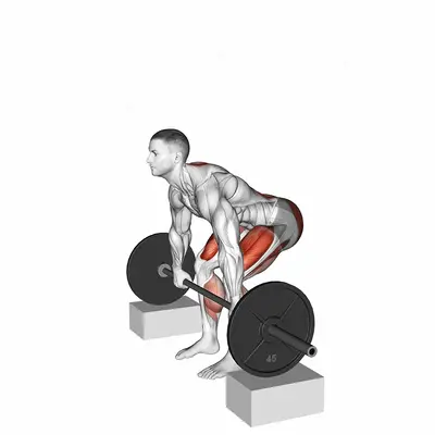 Barbell Deadlift from Blocks exercise targeting Hips