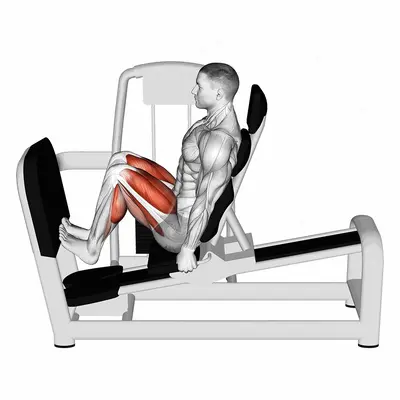 Lever Seated Squat Calf Raise on Leg Press Machine exercise targeting Calves and Gastrocnemius