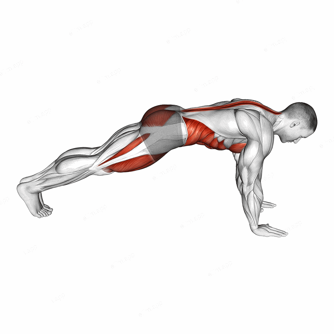 Mountain Climber exercise targeting Cardio