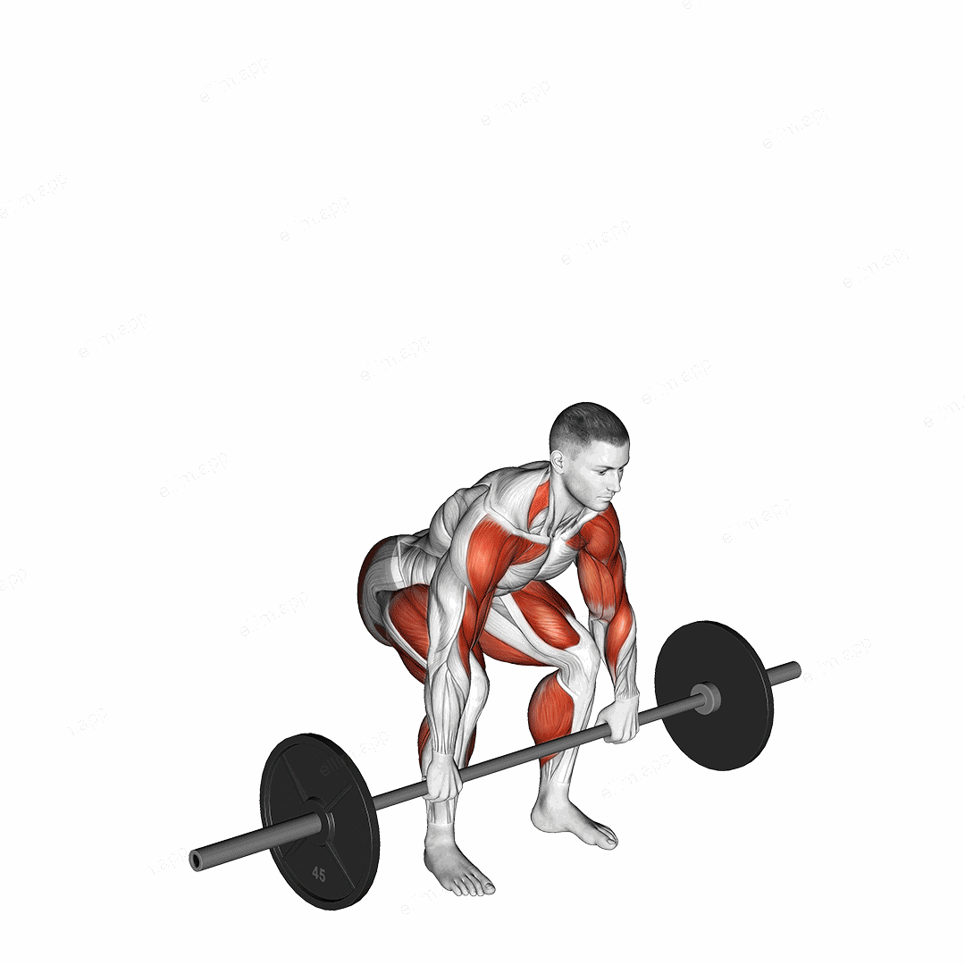 Power Clean exercise targeting Thighs and Adductor Magnus