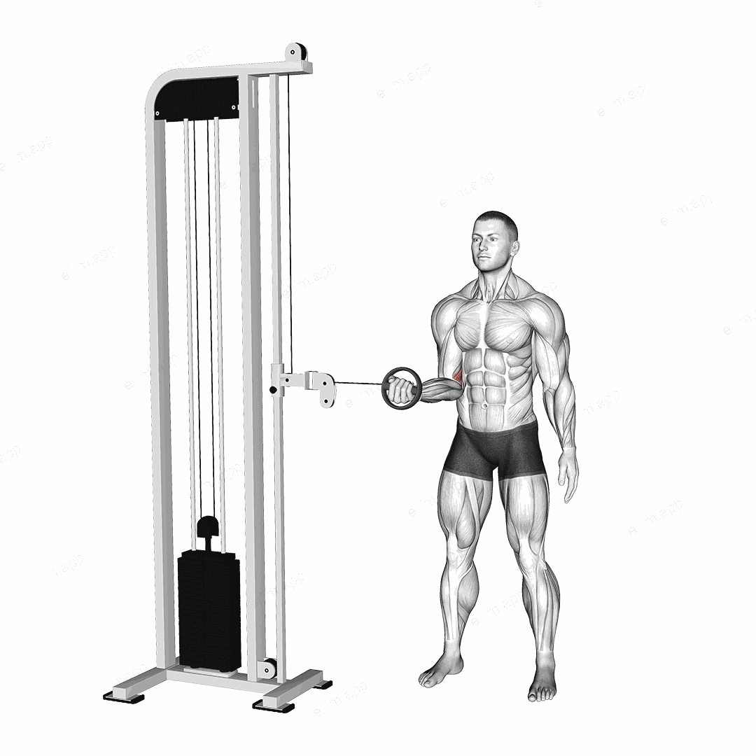 Cable Forearm Pronation exercise targeting Forearms