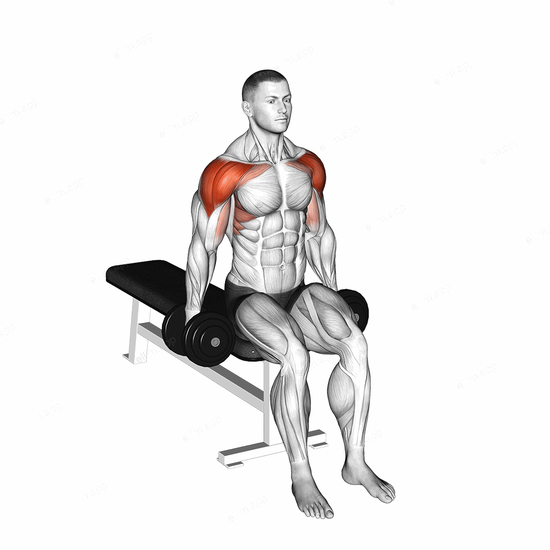 Dumbbell Seated Lateral to Front Raise exercise targeting Shoulders and Deltoid Anterior
