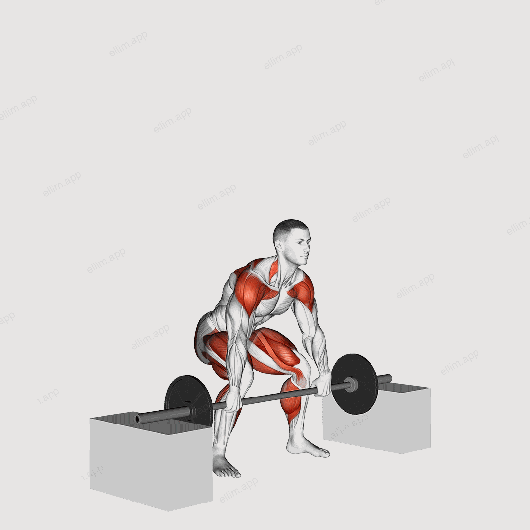 Barbell Snatch from Blocks exercise targeting Weightlifting and Adductor Magnus