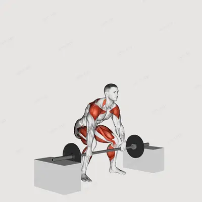 Barbell Snatch from Blocks exercise targeting Weightlifting and Adductor Magnus
