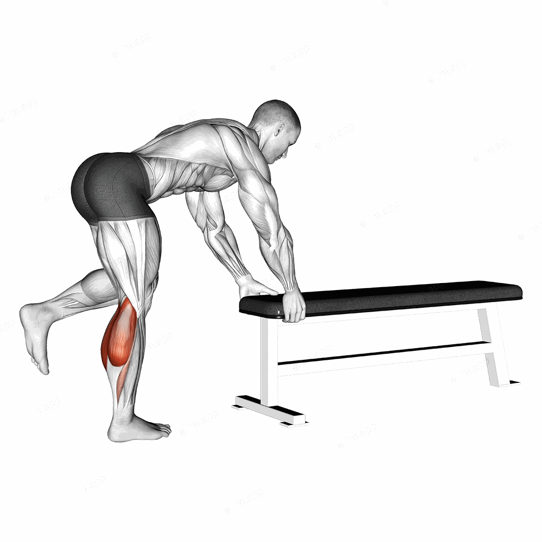 One Leg Donkey Calf Raise exercise targeting Calves and Gastrocnemius