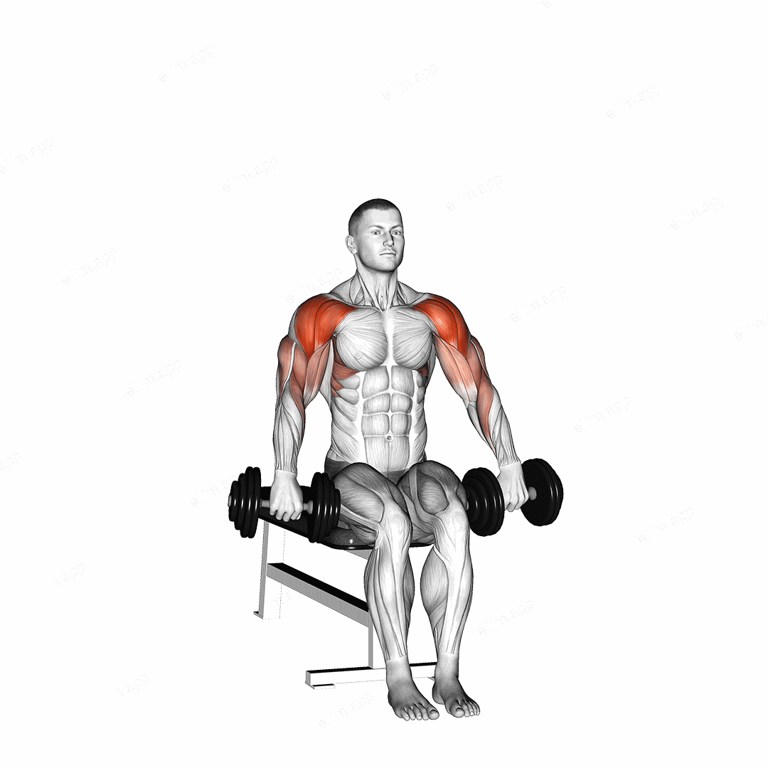 Dumbbell Seated Cuban Press exercise targeting Shoulders