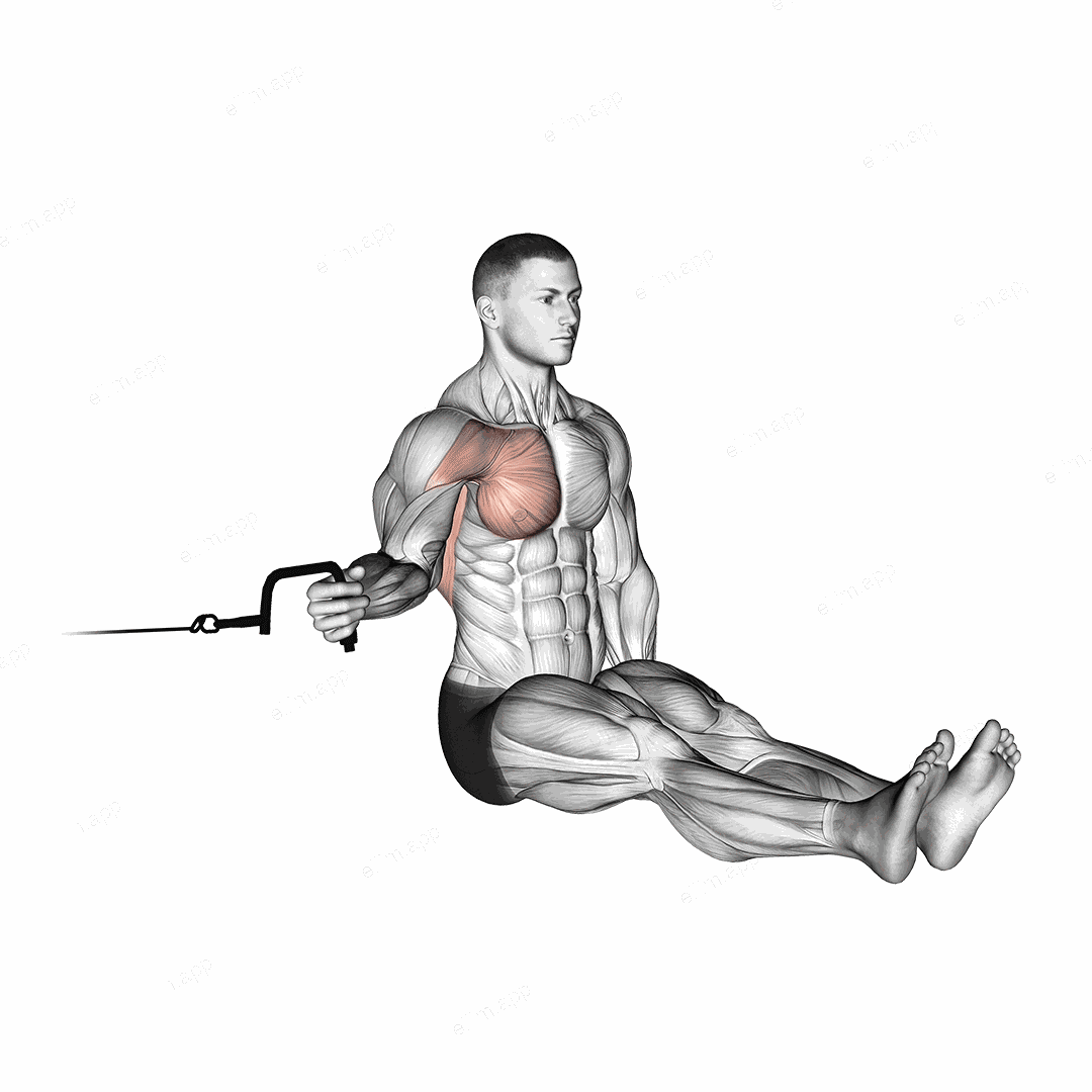 Cable Seated Shoulder Internal Rotation exercise targeting Back and Teres Major
