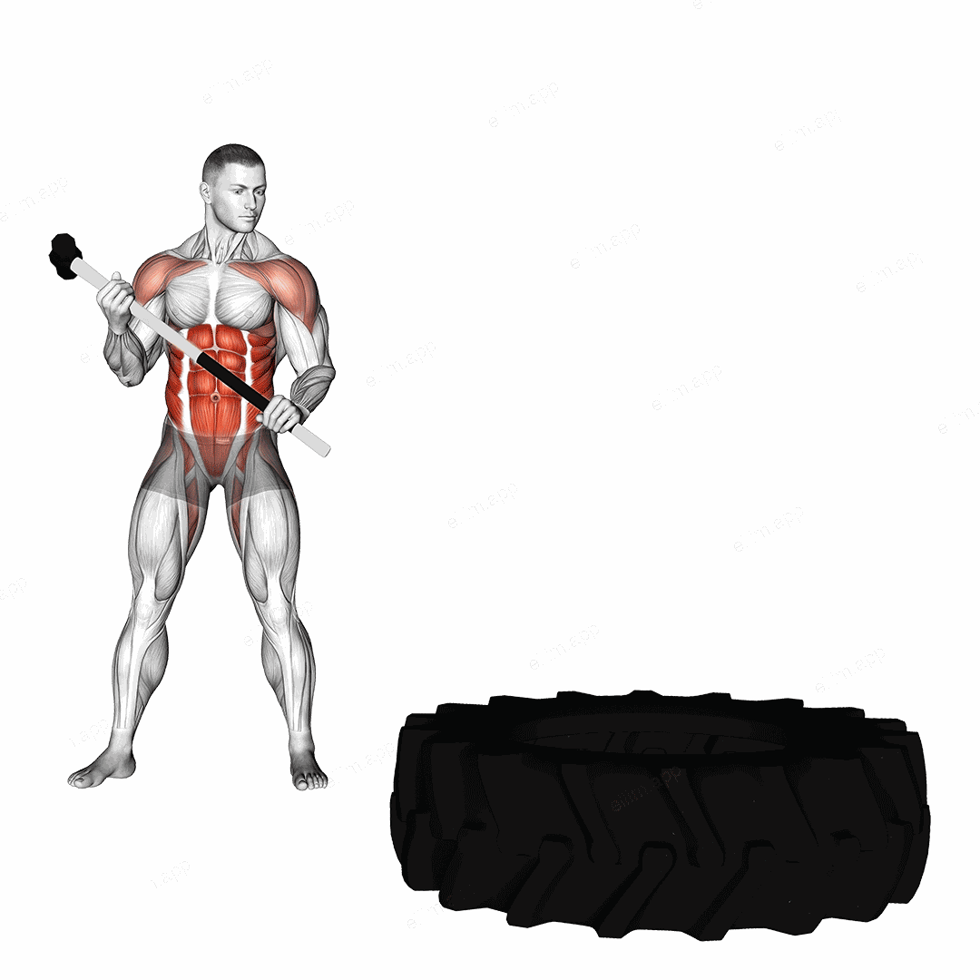 Sledge Hammer exercise targeting Waist and Obliques