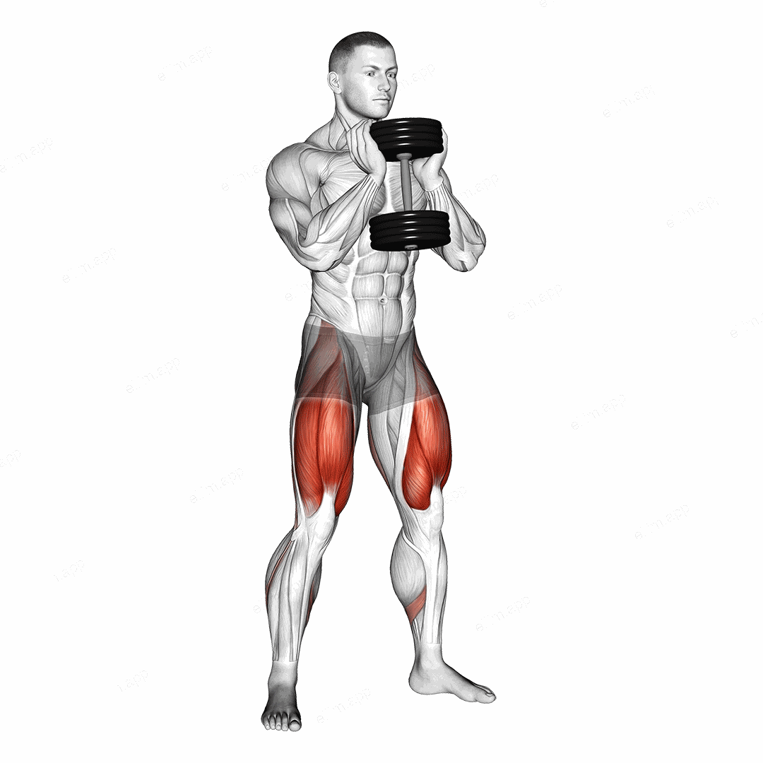 Dumbbell Goblet Squat exercise targeting Thighs and Gluteus Maximus