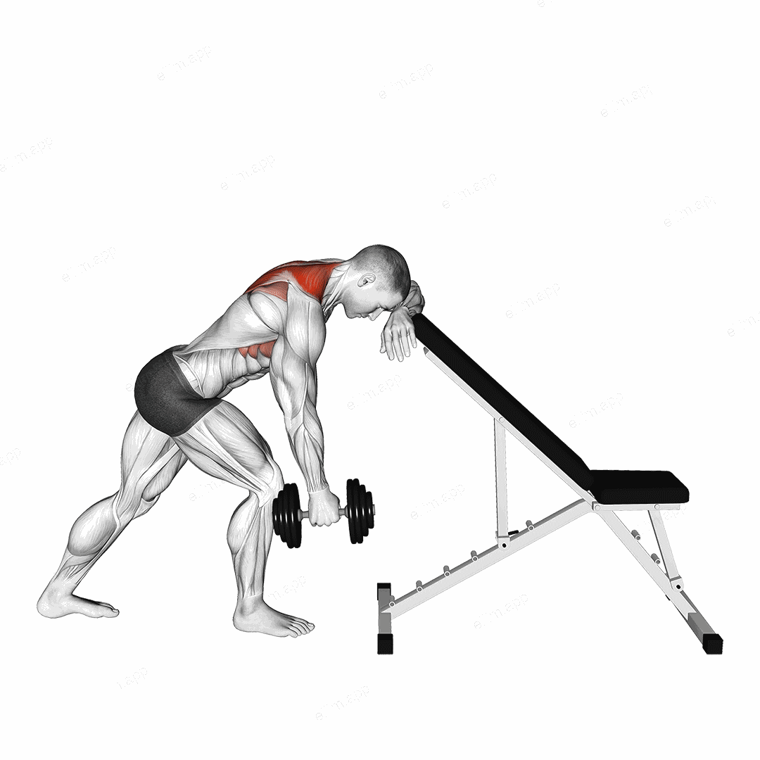 Dumbbell Unilateral Scapula Raise exercise targeting Back and Trapezius Lower Fibers