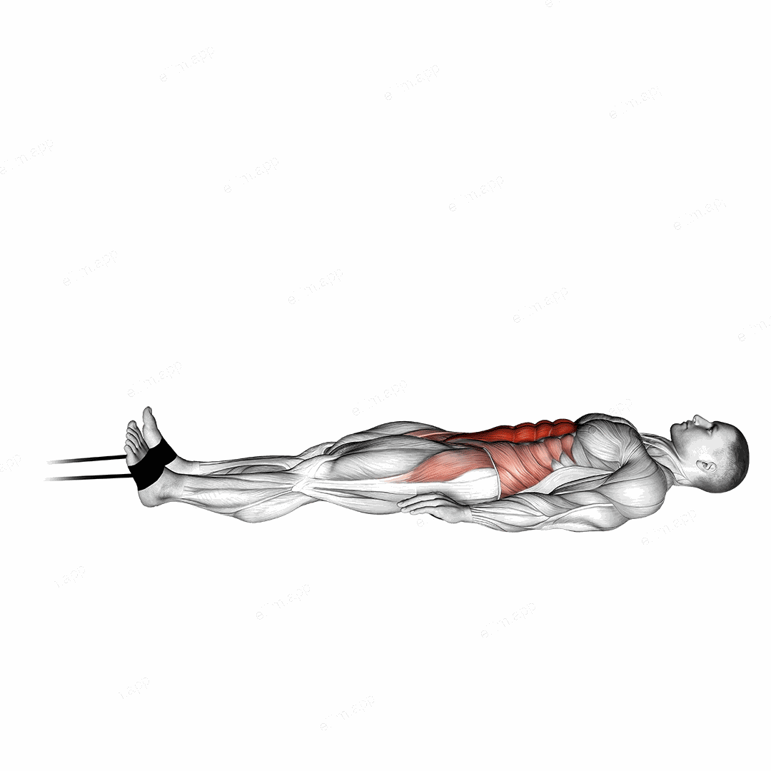 Band jack knife sit up exercise targeting Waist