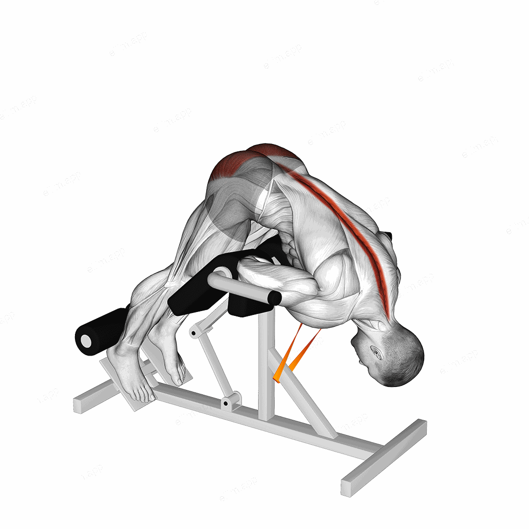 Resistance Band 45 degrees Hyperextension exercise targeting Hips