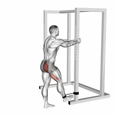 Band Standing Hip Extension exercise targeting Hips and Gluteus Maximus